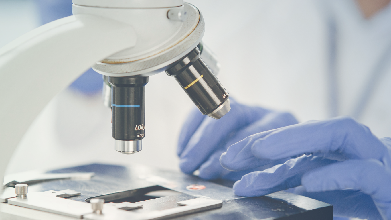 Laboratory research showing scientific testing of antibacterial skincare ingredients
