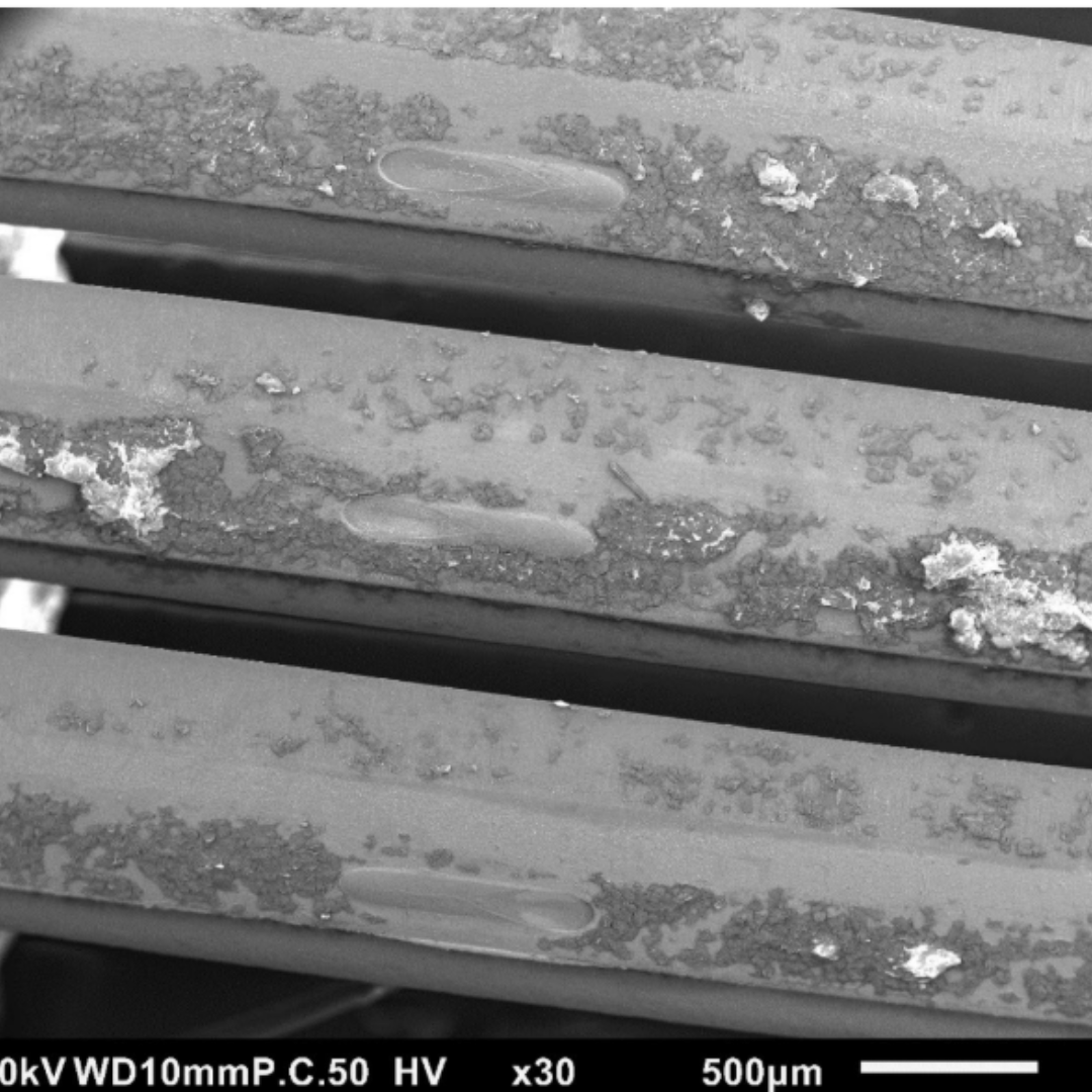SEM image showing bacterial growth on an uncleaned razor at 30x magnification